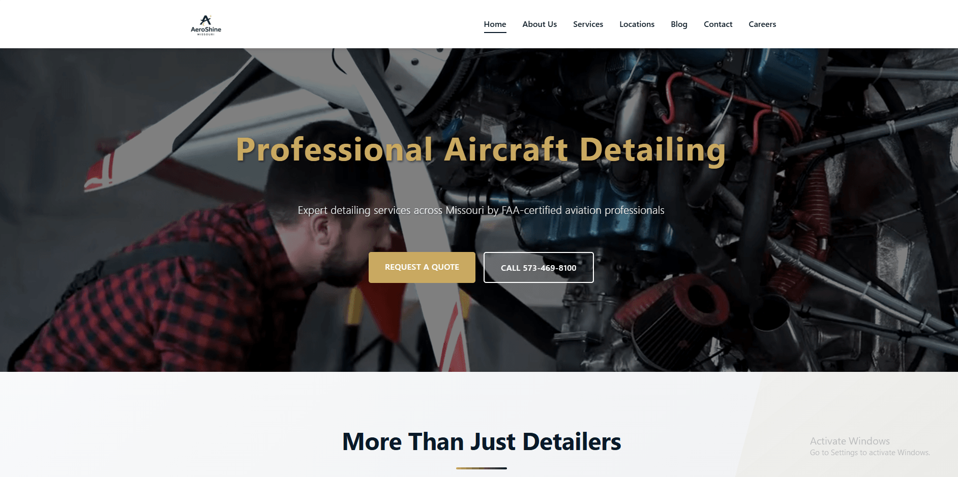 Aircraft detailing service website